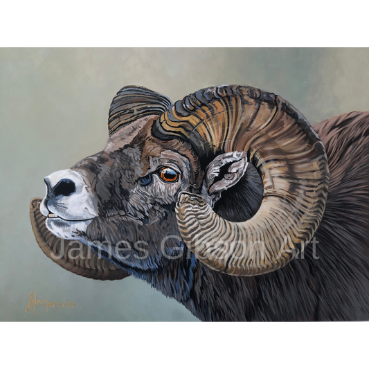 Ram Painting or Prints