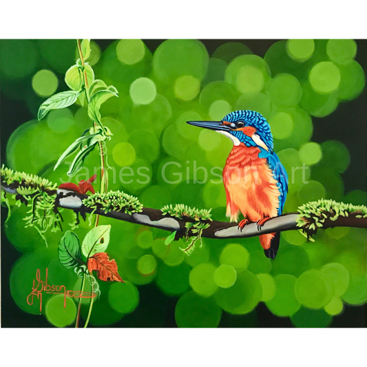 King Fisher Bird Painting or Prints