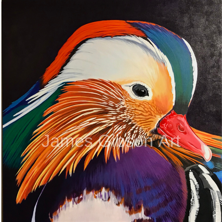 Mandarin Duck Paining or Prints