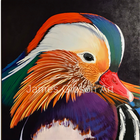 Mandarin Duck Paining or Prints