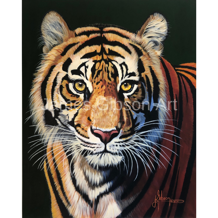 Tiger Painting or Prints