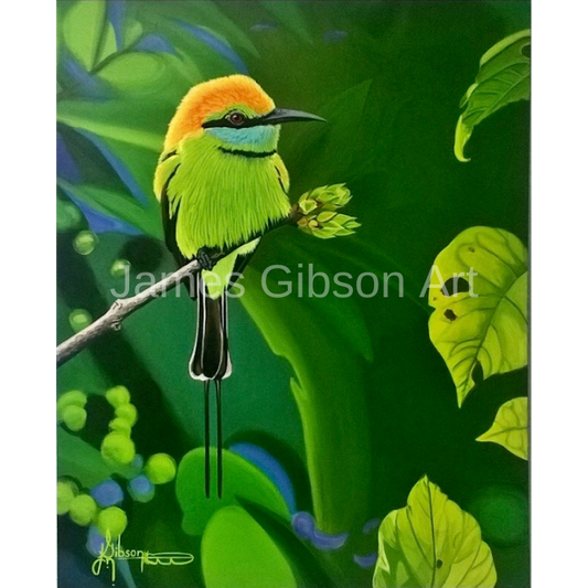 Little Green Bee Eater Painting or Prints