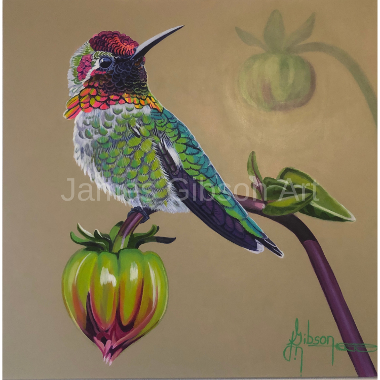 Anna's Hummingbird Painting or Prints