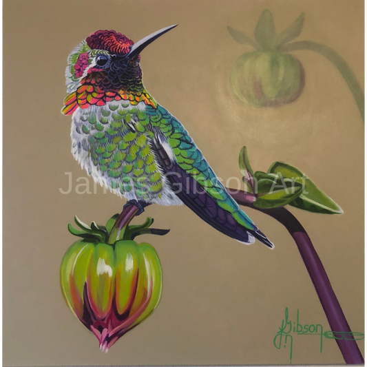 Anna's Hummingbird Painting or Prints