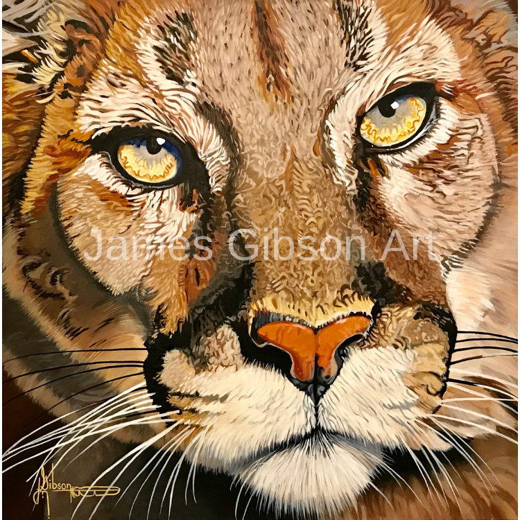 Mountain Lion Painting or Prints