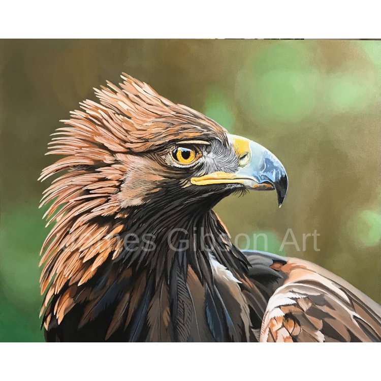 Golden Eagle Painting or Print