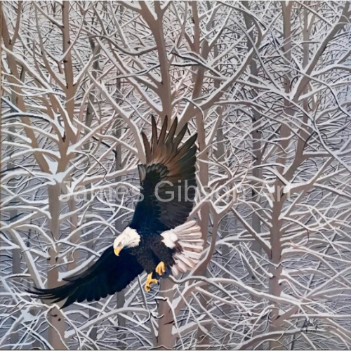 Soaring Eagle Painting or Print