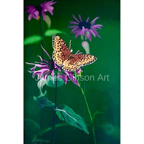 Great Spotted Fritillary Butterfly Painting or Prints