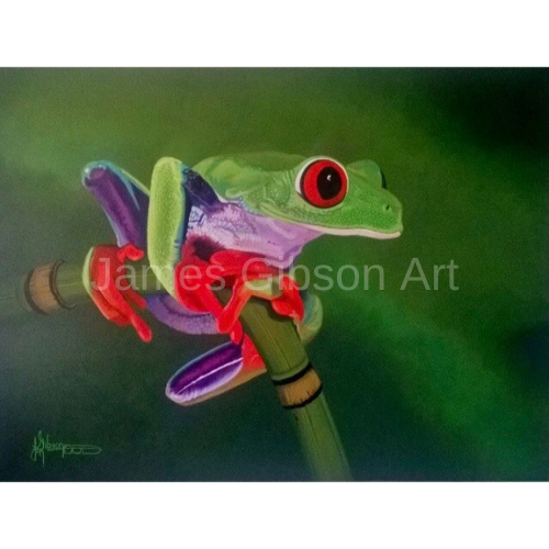 Red-Eyed Tree Frog Painting or Prints