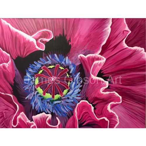 Poppy Flower Paining or Prints