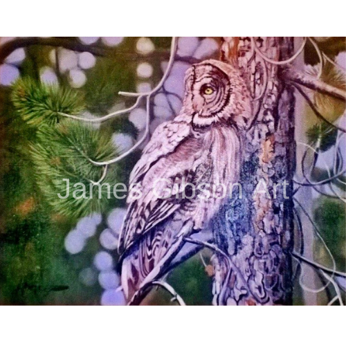 Great Gray Owl Painting or Prints