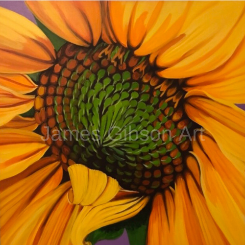 Sunflower Painting or Prints